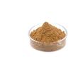 Extrato de Astrágalo 30:1 50:1 Pó de Astragalus Extrato de Astragalus em Pó Metronide de Astragalus Polissacarídeo Spot