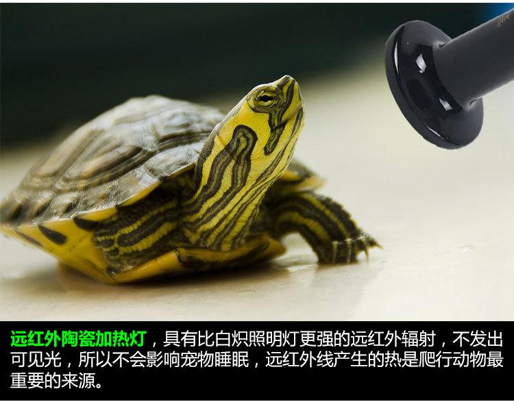 陶瓷保温灯详情_03