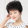 Nova peruca feminina cabelo curto para meia-idade e idosos cabelo curto cacheado natural fofo cobertura completa da cabeça para mãe peruca cacheada de lã artificial