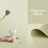 Papel de Fundo Fotográfico Refletivo de Cor Sólida Tradicional Adereços Fotográficos para Joias Cartão de Papel para Fotografia de Produtos Coloridos Fruta Vermelha Pequena