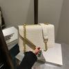 Texto Nicho Novo Estilo Simples Estilo Ocidental Transversal 2025 Cor Sólida Primavera Moda Casual Portátil Bolsa Pequena Quadrada para Mulheres