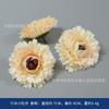 Flores de Seda Color Champán, Rosas y Peonías Artificiales, Flores para Pasador DIY, Birrete, Tocado de Estilo Étnico, Sombrero, Decoración de Abanico