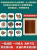 Atacado de Adesivos Herbais Miao de Guizhou, Adesivos Adesivos para Lombar, Ombro, Joelho e Vértebras Cervicais, Processamento de Fabricante de Origem