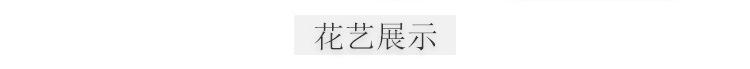 夏花花艺通用模板20230601_03