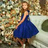 Vestido de Niña, Vestido de Princesa, Vestido de Fiesta de Cumpleaños para Niños de Malla, Vestido Brillante de Navidad para Actuación de Niñas
