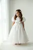 Venta al por mayor de vestidos formales para niños para exportación y ventas transfronterizas: Vestidos de princesa de cuello redondo y manga abullonada para niñas pequeñas, adecuados para fiestas, cumpleaños y actuaciones.