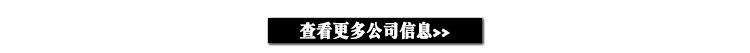 国内版intro2