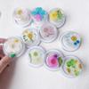 Serie de flores secas de alta permeabilidad, bolsa de aire magnética transparente, soporte para teléfono móvil, accesorios de carcasa para teléfono móvil MagSafe con flor real, venta al por mayor