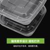 Caixa de Almoço Coreana de Grande Capacidade Caixa Quadrada com Tampa Caixa de Almoço PP Embalagem para Levar Caixa de Embalagem de Louça Caixa para Comer de Grau Alimentício