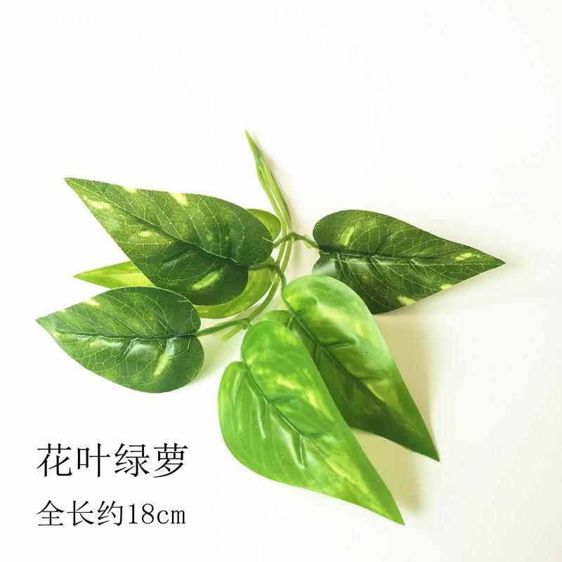 【花叶绿萝】.jpg