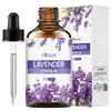Hllozzi Venta Caliente Transfronteriza 60ml Perfume Vegetal de Lavanda Fragancia Única Fragancia Duradera Aceite Esencial Vegetal