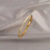 Pulsera Geométrica de Zirconia de Acero de Titanio de Moda Europea y Americana Transfronteriza para Mujer, Pulsera Abierta de Lujo Ligero de Gama Alta de Nicho de Moda Que No Se Desvanece
