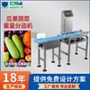 Balança de pesagem quantitativa de alta precisão para classificação de batata-doce personalizada, balança de verificação de peso para frutas e vegetais, fabricantes de balanças de esteira
