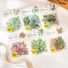 Dia Lindo Sombra Verde Série Temporal Colagem de Plantas Material Base Adesivos de Animais 6 Estilos