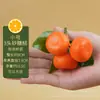 Modelo de laranja simulado laranja falso verde amarelo kumquat fruta de espuma adereços para fotografia com folha laranja de açúcar vitrine de janela de laranja