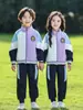 Uniformes de Jardín de Infancia, Uniformes de Primaria para Primavera y Otoño, Uniformes de Graduación, Ropa Deportiva Azul y Morada, Uniformes de Clase para Niños, Conjunto de Uniformes de Béisbol