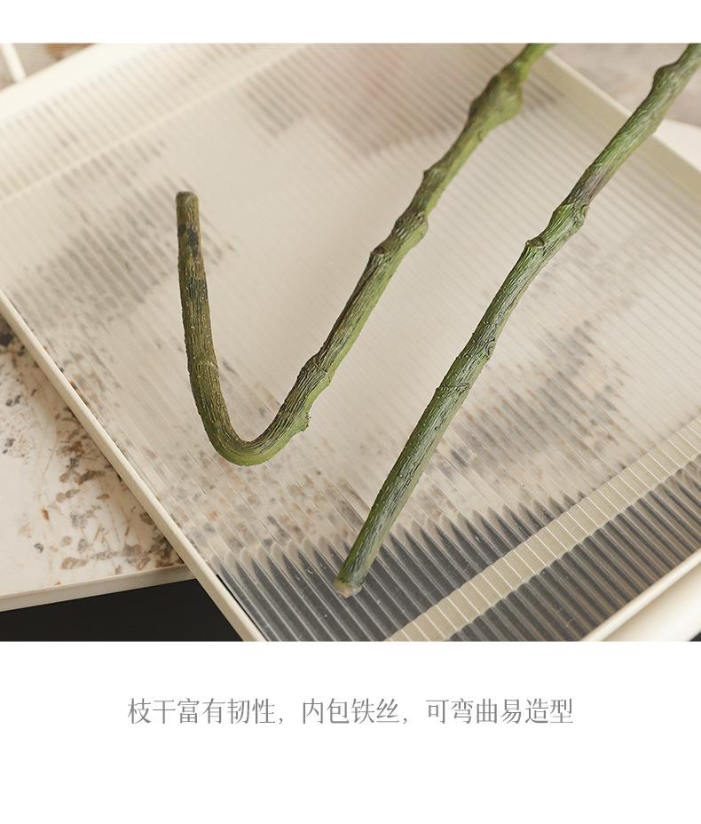 娜拉小西湖玉兰_11.jpg