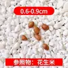 Piedras Blancas Pequeñas, Piedras Blancas, Adoquines para Senderos de Jardín, Paisajismo de Macetas, Piedras de Pavimentación Decorativas para Suculentas