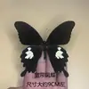 Venta Directa al Por Mayor de Fábrica de Especímenes Reales de Mariposas con Alas Extendidas, Diversos Insectos y Escarabajos, Accesorios para Fotos, Educación Científica, Especímenes Naturales