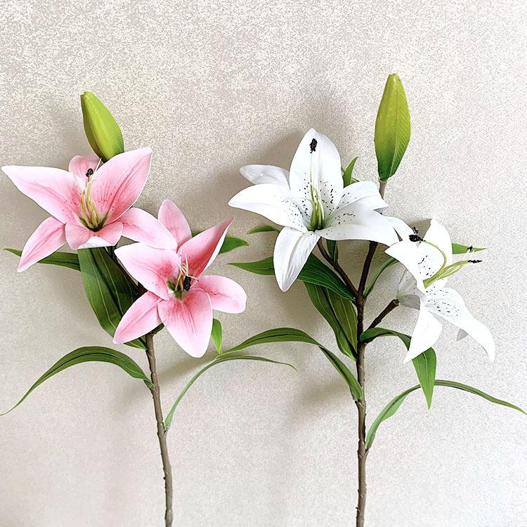 QQ图片20220819141227