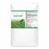 Nuevo fertilizante soluble en agua específicamente para cebollín, previniendo puntas secas y hojas amarillas, promoviendo el ahijamiento y aumentando el rendimiento de cebollín grueso, tierno y verde en invernaderos y plantas de maceta