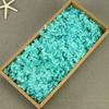 Flor Mágica Flor Eterna AB Anna Hortênsia 100g Aniversário Real Flor Diy Material Flor Seca Decoração Namorada Presente