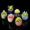 Maceta de cerámica con forma de grieta de hielo para plantas suculentas, venta al por mayor transfronteriza, maceta pequeña para suculentas de interior, suministro directo de Amazon, 8 colores