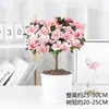 Planta de azaleia em vaso para interior com botões de flor, azaleia grande, planta madura, floresce nas quatro estações, fácil de cuidar e uma boa escolha para folhagem de interior