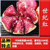 Árbol Joven de Granada Ácida Enana, Semilla Suave Tunecina, Semilla Suave Huidong, Lintong, Robe Rojo Grande de Sichuan, Brote de Árbol de Granada Ácida Enana, Semilla de Huidong sin Semillas