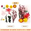 Flores secas naturales, flores eternas, flores artificiales, materiales hechos a mano para manualidades DIY infantiles para preescolar, abanicos redondos autoadhesivos y arte con pegatinas