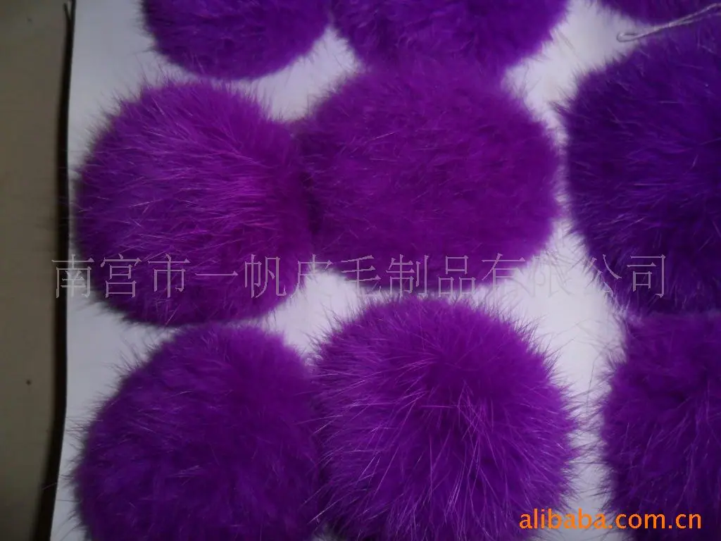 SAM_0548