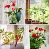 Palitos acrílicos para plantas transfronterizos, estacas de soporte para plantas para jardines interiores y exteriores, clips para plantas para verduras y flores en maceta