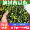 Tiras de pepino desidratado, tiras de pepino seco comercial, vegetais secos, pratos frios, hot pot, lanches para catering, ingredientes alimentícios no atacado