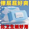 Papel Higiénico Húmedo para Limpiar las Nalgas, Toallitas Húmedas para Baño, Papel Higiénico de Limpieza para el Hogar, Toallitas Húmedas para Baño de Limpieza del Hogar al por Mayor, Desinfección y Cuidado