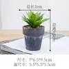 Planta suculenta de simulação em vaso personalidade simples decoração de casa em vaso decoração de interior imitação de bonsai realmente uma geração de cabelo