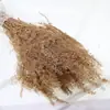 Artemisia gypsophila flor seca hierba de los sueños material DIY quinoa espinosa flor seca holandesa arena de construcción modelo de escena de maqueta