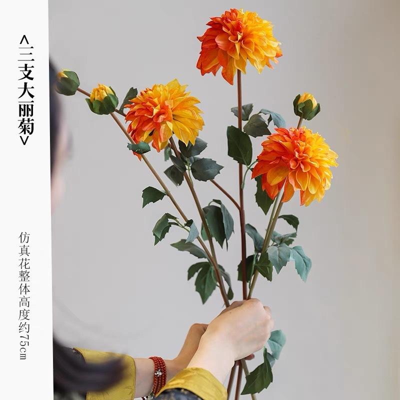 微信图片_20241012101533.jpg