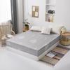 Lixamento Colchão Capa Doméstica Simmons Colchão Capa Protetora Antiderrapante Dustproof Bed Cover Cross-border Universal Printed Colchão Capa Atacado