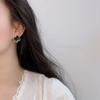 Brincos de trevo de quatro folhas estilo Chanel Coreia do Sul modernos alta qualidade temperamento socialite brincos de moda joias Dongdaemun atacado
