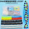 Modelo de Estructura de Doble Hélice de ADN J3242 Componente Versión de Ensamblaje Molecular Pequeño Genético Gen y Mutación Modelo