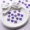 Pequeña Belleza Flor de Cerezo Flor Real Flor Prensada Estampado Tutorial Material de Espécimen Vegetal Flor Seca de Resina Funda para Teléfono DIY