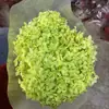 Flor Eterna Folha Pequena Hortênsia Anna Flor Seca Flor Real Estilo Escandinavo Props para Fotos Ins Buquê de Casamento Pronto Decoração