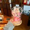 Bouquets Prácticos y de Alta Gama de Flores Preservadas para Amigas durante la Temporada de Graduación, Regalos de Cumpleaños para Novias y Madres, Regalos para el Día del Maestro
