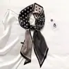 Versión Coreana Otoño e Invierno 2025 Pañuelo Pequeño Paisley con Corbata, Bolso, Diadema, Tira Decorativa Rayada de Cuadros Bufanda de Seda Versátil Larga para Mujer