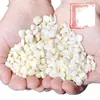 Nuevo producto: Maíz waxy perlado, maíz waxy blanco, granos de maíz, maíz pegajoso, grano entero, grano grueso, sémola de maíz blanco