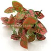 Arranjo Artificial Transfronteiriço de Rabanetes Verdes, Folhas de Batata Doce, Flores Artificiais, Paredes de Plantas Verdes, Decoração de Parede de Gramado, Arranjo de Flores para Grade de Varanda