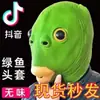 Capa de Cabeça de Peixe Vermelho da Moda Tom de Balanço Máscara de Cabeça de Peixe para Homens e Mulheres Peixe de Cabeça Verde Homem Peixe Fofo Engraçado Escultura de Areia Monstro de Cabeça Verde Animal