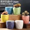 Vaso de Flor Suculenta Cerâmica Preço Especial Liquidação Esmaltado Tamanhos Grande e Pequeno Simples Pastoral Mesa Vasos de Barro Respirável Plantas Leede Estoque