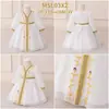Vestidos de Festa Transfronteiriços Atacado para Meninas Pequenas, Longos com Estampa Dourada, Vestidos de Festa Infantis, Vestidos Princesa de Chiffon