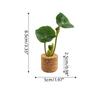Amazon Planta Artificial Suculenta Imán de Corcho Imán de Refrigerador Decoración del Hogar Estilo Pastoral Suculenta Creativa Atracción Magnética